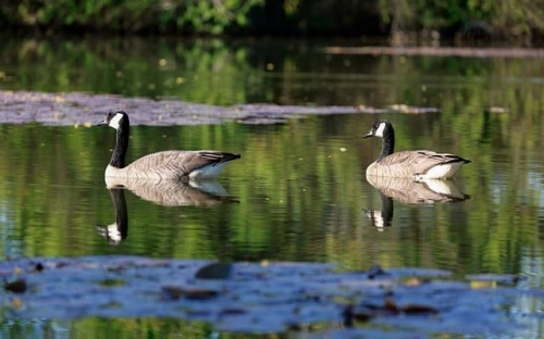 家庭视力普查工程义诊社区行系列活动策划案-春林公文网