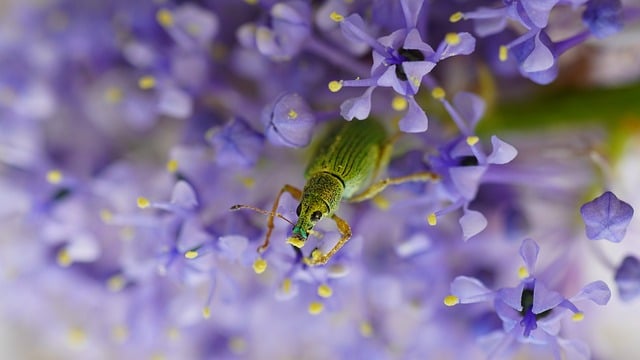 2012年元宵节促销活动案
