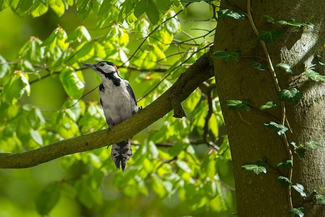 大走访活动宣传标语