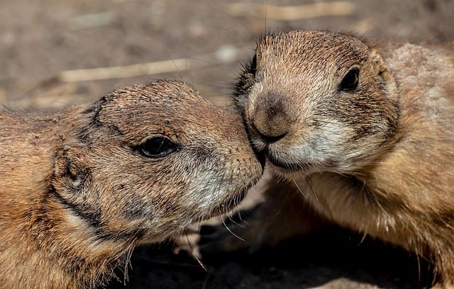 三年级班队工作计划