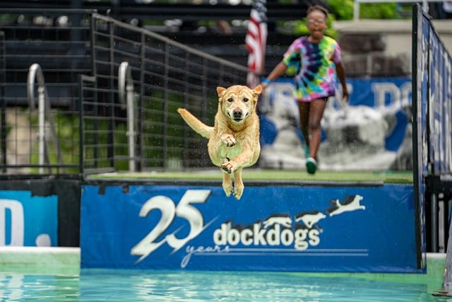 学生会元旦晚会活动策划书
