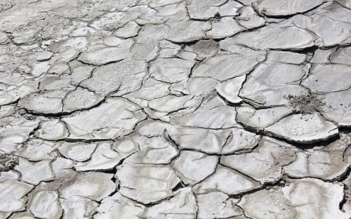 世界地球日1000字征文-春林公文网