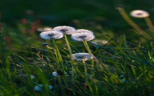 公司工会财务总结-春林公文网