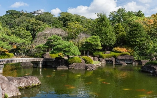 有关学生实践报告锦集5篇-春林公文网