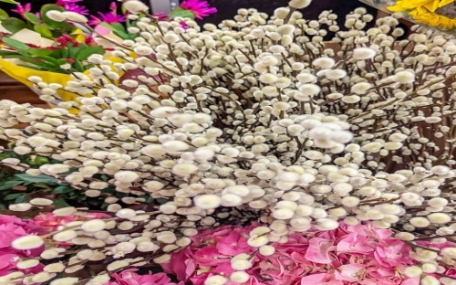 有关办公室工作总结-春林公文网