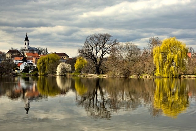 “镇工会上半年总结及下半年计划”工会工作计划