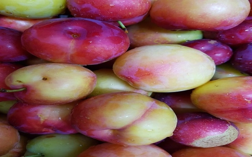 2021电话销售年终工作总结范文-春林公文网