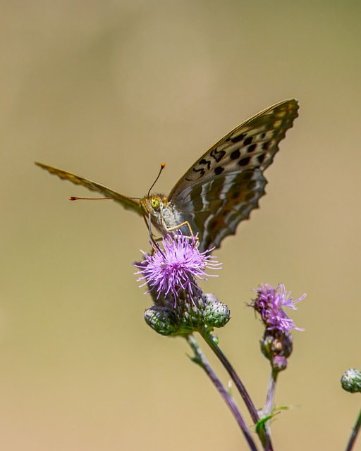 毕业生面试技巧以及经验