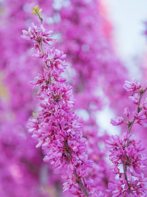 学习职场礼仪的心得