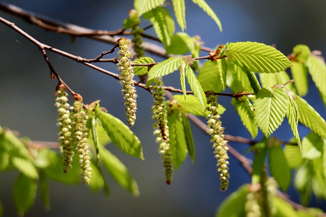 2016国庆演讲稿推荐：为祖国喝彩