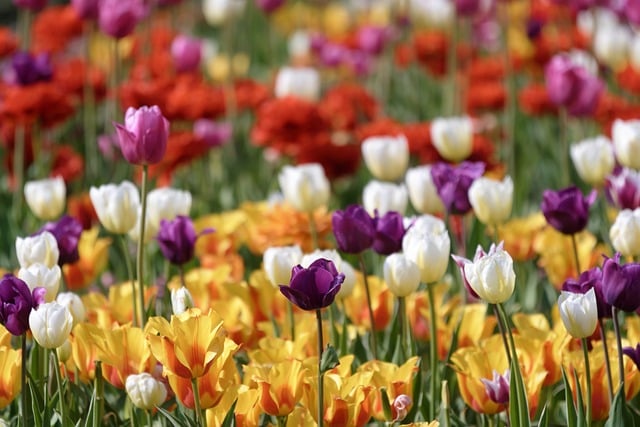 最新人事面试提问技巧全攻略