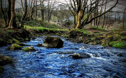 镇工会工作总结范文-春林公文网