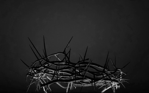 会计实习周记范文8篇-春林公文网