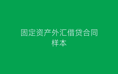 固定资产外汇借贷合同样本-春林公文网