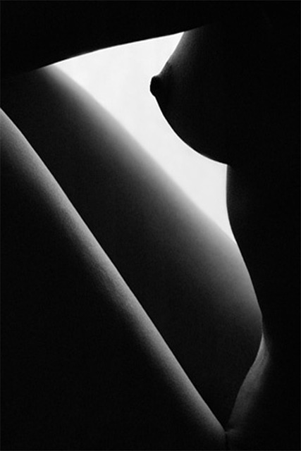 入党申请书格式及范例