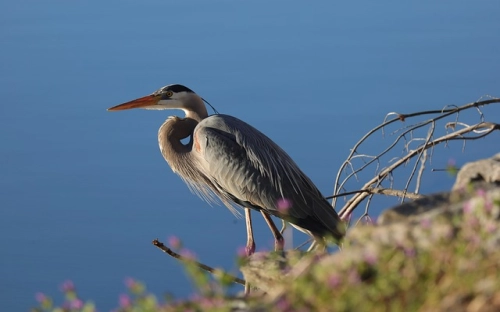 拒绝使用塑料袋-春林公文网
