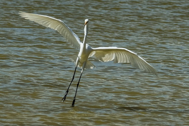 中学第七周学校工作计划