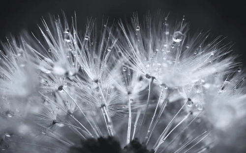 你真做不到吗环保活动策划书-春林公文网