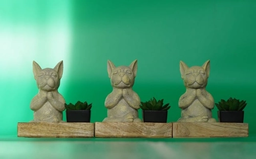 精选个人实习总结三篇-春林公文网