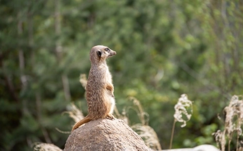 和谐小康家庭事迹材料-春林公文网
