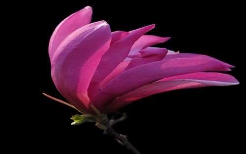 学习先进典型思想汇报-春林公文网