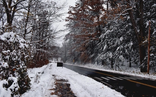 立冬-春林公文网