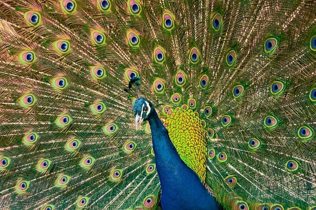 高中班主任工作计划2022第二学期 高中班主任工作计划范文模板5篇