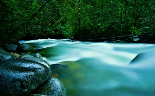 实习周记合集六篇-春林公文网