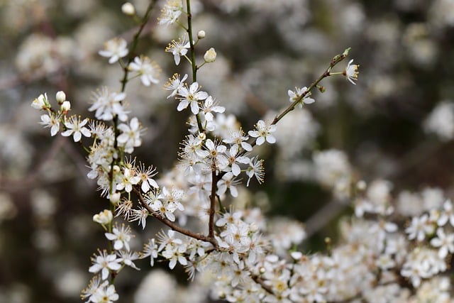 高三冲刺高考励志标语