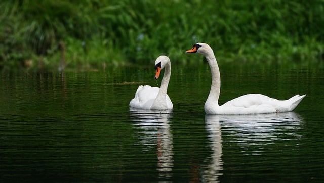 人力资源管理现状调查统计分析报告