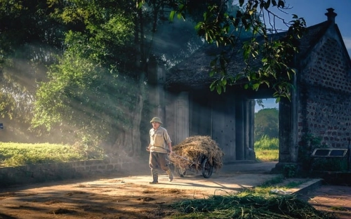 道路运输安全生产隐患排查治理和督促检查工作总结-春林公文网