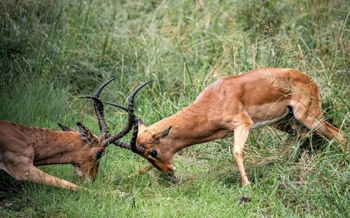 对xx中学考察报告暨课堂教学模式比较之探究-春林公文网