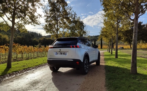 最新学生会主席工作计划-春林公文网