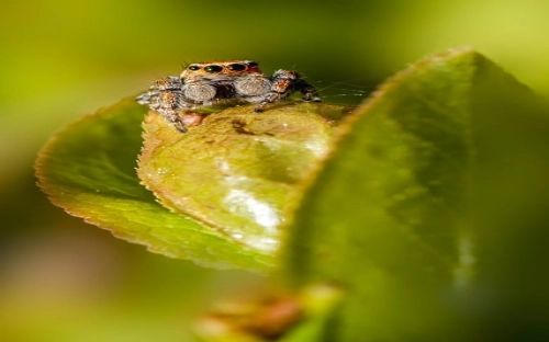 乡镇团委试点工作总结-春林公文网