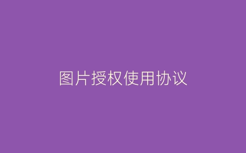 图片授权使用协议-春林公文网