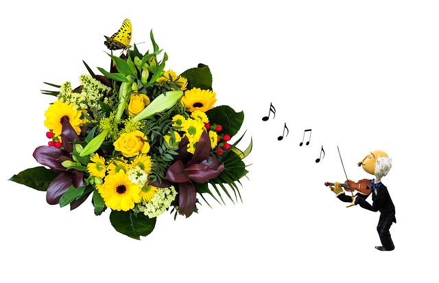 夏天问候祝福语