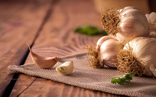 送领导的重阳节温馨的祝福贺词-春林公文网