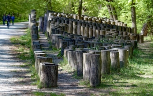 教师素质提高工程小学英语教师暑期培训学习心得-春林公文网