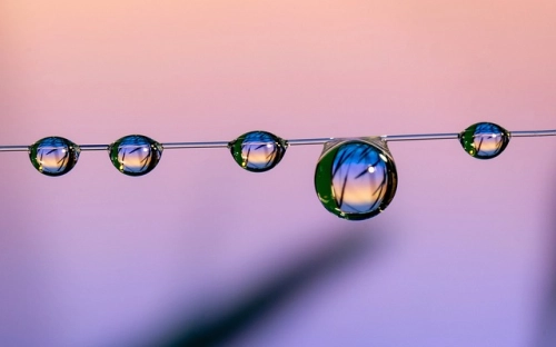 合理税费怎可一免了之-春林公文网