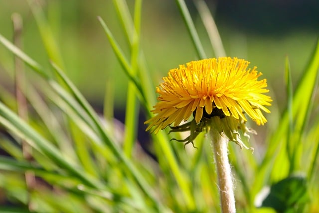 射频电子工程师个人简历表格精选11篇