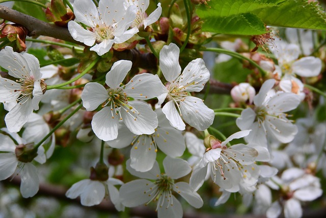 五一劳动节的新闻稿