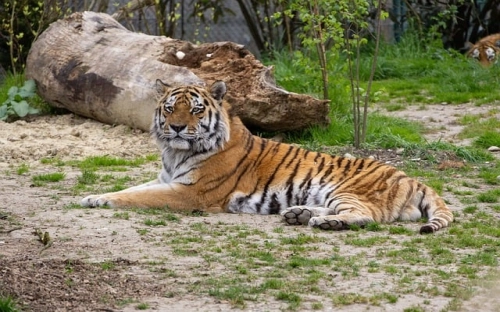 新华书店优秀工作者入党自传-春林公文网