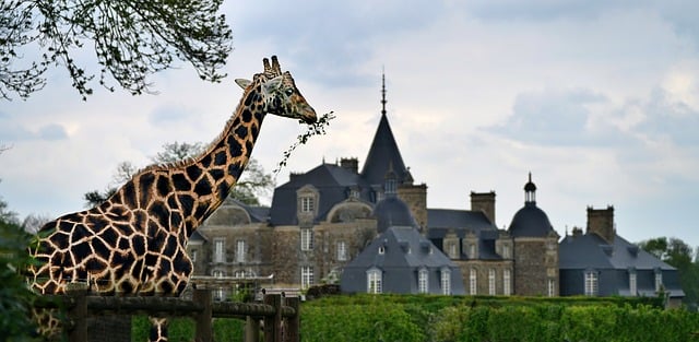 加入共青团申请志愿书范文【精选5篇】