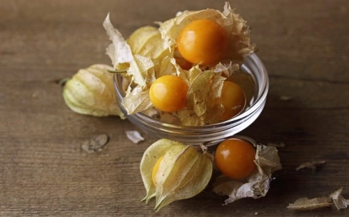 治庸问责整改报告范文-春林公文网