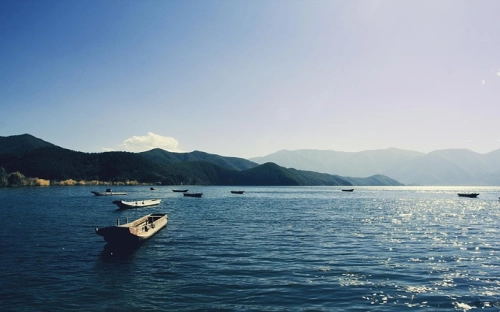 村委综治工作总结-春林公文网