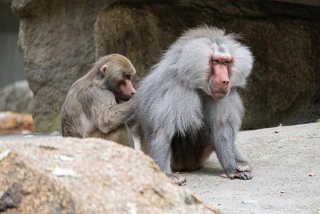 元旦晚会学生版主持稿