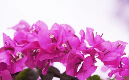 精选教师辞职报告集锦九篇-春林公文网