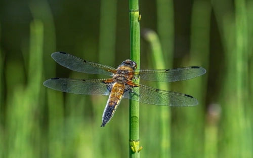 精选毕业实习报告四篇-春林公文网