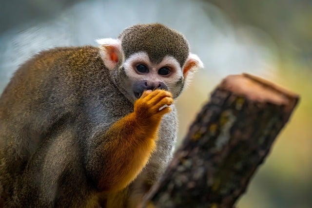 关于社会调查报告三篇