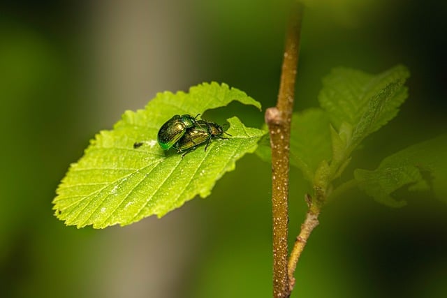 副县长教育乱收费讲话